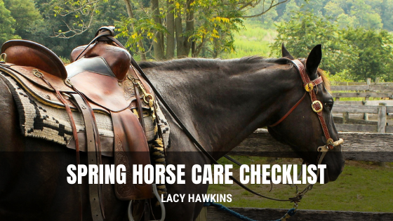 Spring Horse Care Checklist