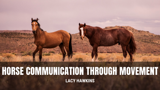 Horse Communication Through Movement