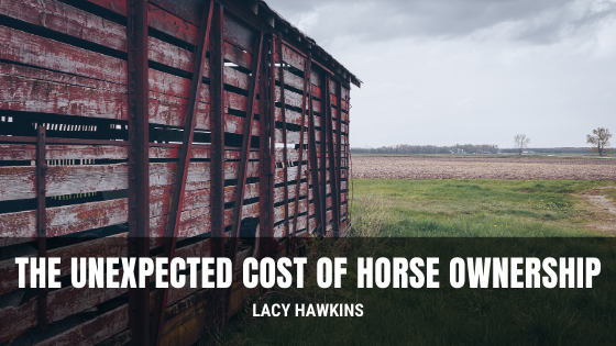 The Unexpected Cost of Horse Ownership