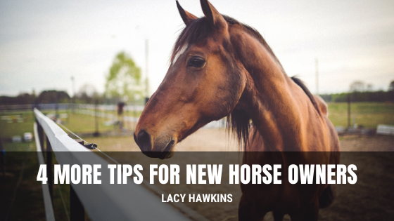 4 More Tips for New Horse Owners