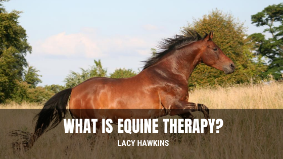 What is Equine Therapy?