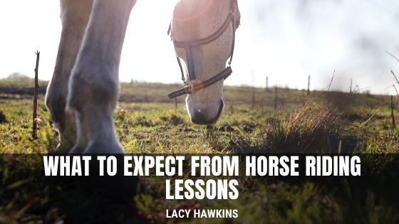 What to Expect From Horse Riding Lessons