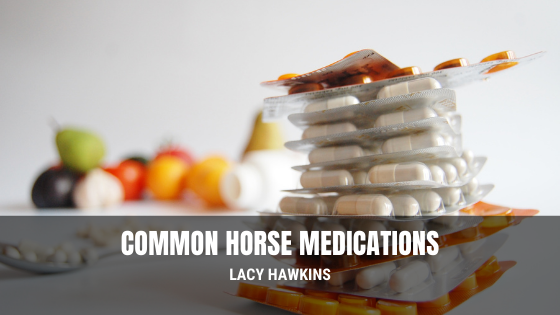 Common Horse Medications
