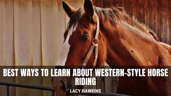 Best Ways to Learn about Western-Style Horse Riding