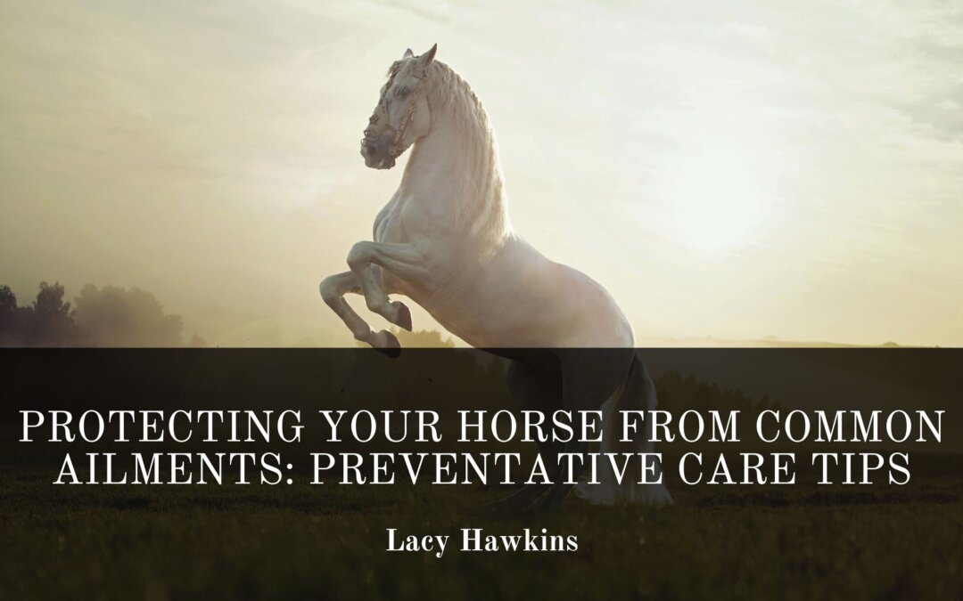 Protecting Your Horse from Common Ailments: Preventative Care Tips