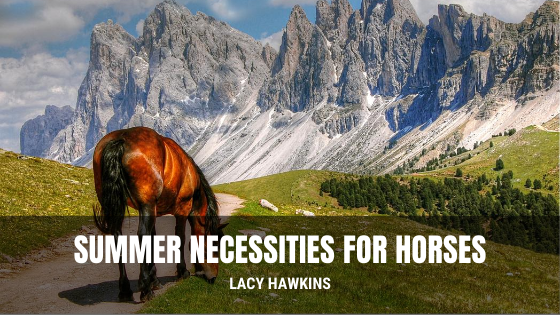 Summer Necessities for Horses