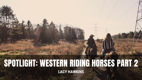 Spotlight: Western Riding Horses Part 2