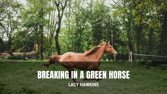 Breaking in a Green Horse