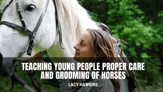 Teaching Young People Proper Care and Grooming of Horses