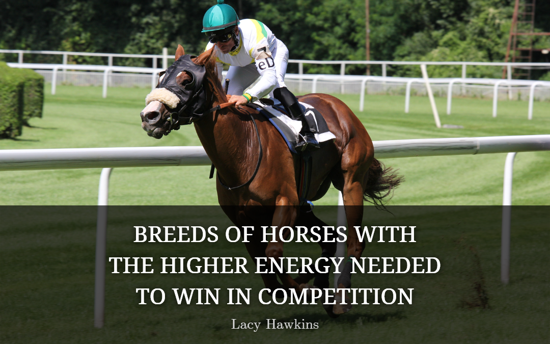 Breeds of Horses with the Higher Energy Needed to Win in Competition