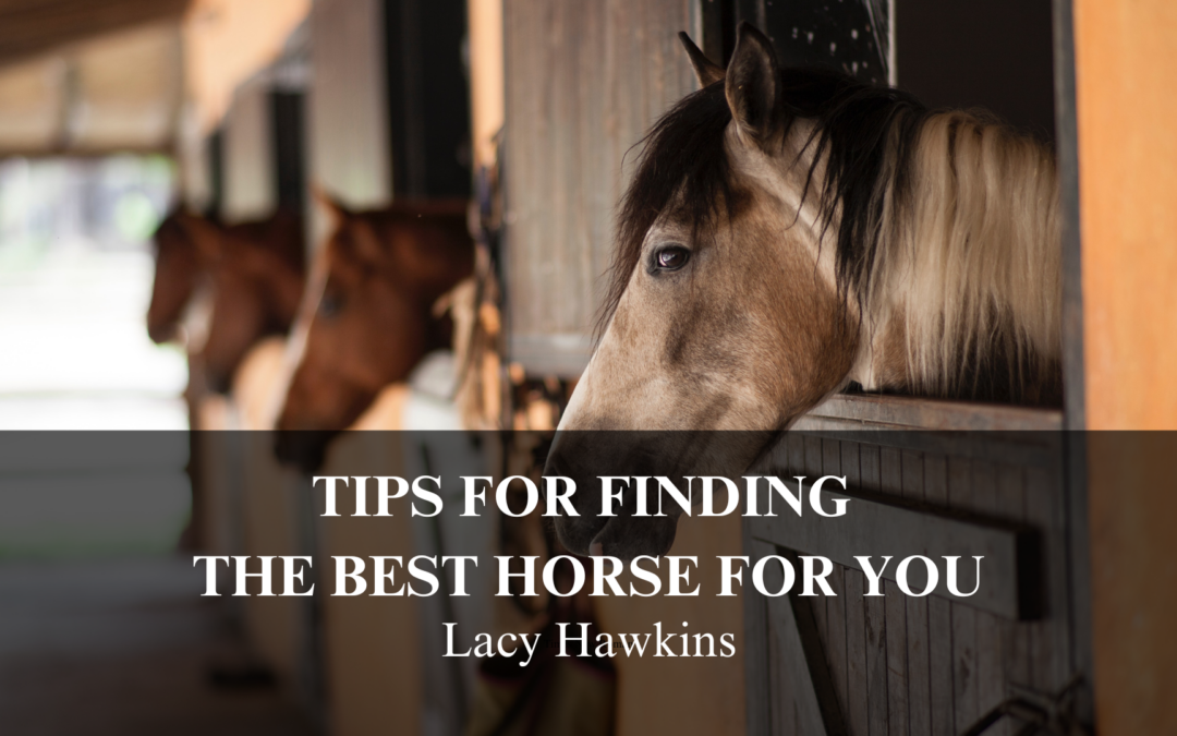 Tips for Finding the Best Horse for You