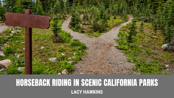 Horseback Riding in Scenic California Parks