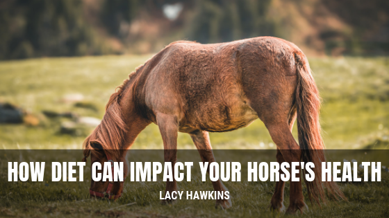 How Diet Can Impact Your Horse’s Health