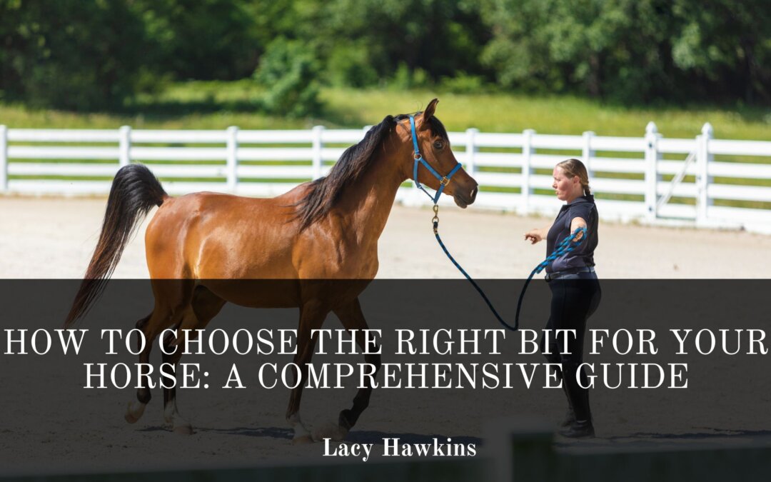 How to Choose the Right Bit for Your Horse: A Comprehensive Guide