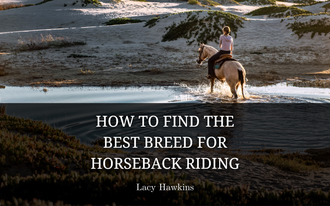 How to Find the Best Breed for Horseback Riding
