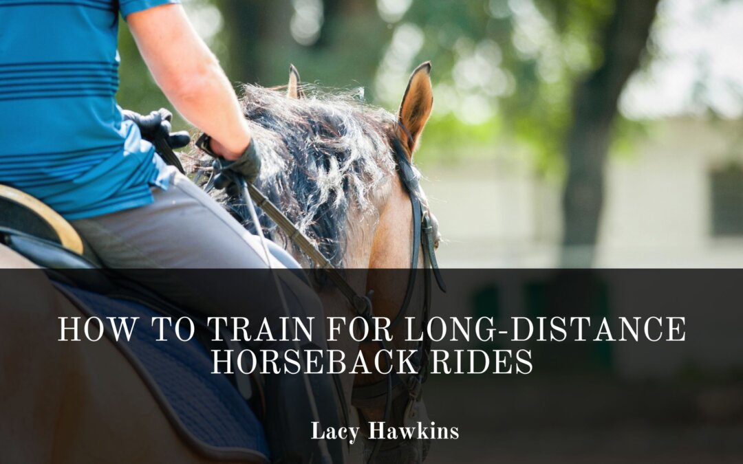 How to Train for Long-Distance Horseback Rides