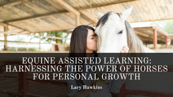 Equine Assisted Learning: Using Horses as Teachers for Personal Development