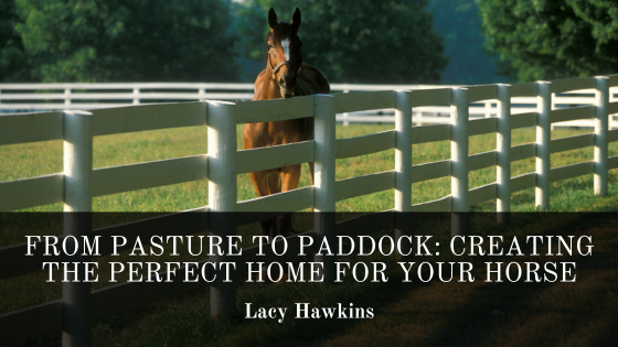 From Pasture to Paddock: Creating the Perfect Home for Your Horse