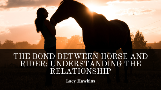 The Bond Between Horse and Rider: Understanding the Relationship
