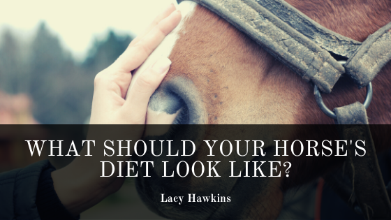 Lacy Hawkins Horse Diet