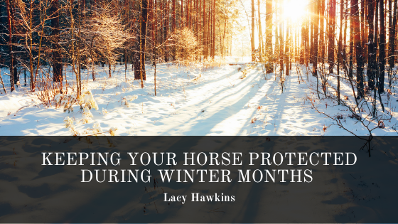 Keeping Your Horse Protected During Winter Months
