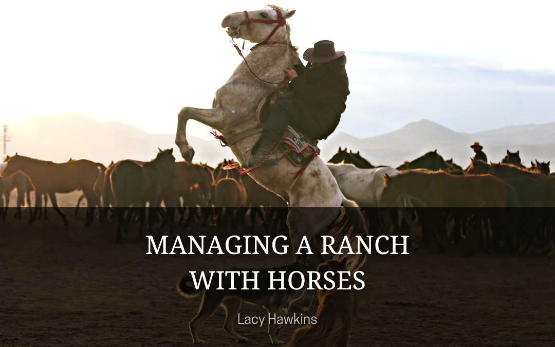 Managing a Ranch with Horses