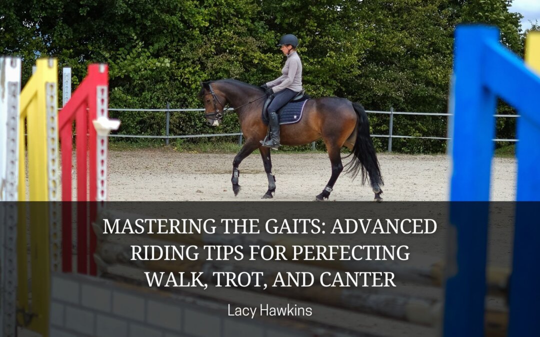 Mastering the Gaits: Advanced Riding Tips for Perfecting Walk, Trot, and Canter