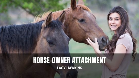 Horse-Owner Attachment