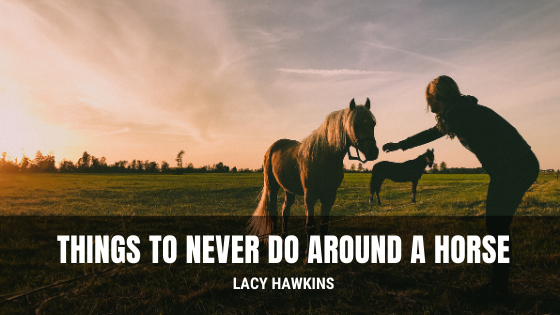 Things to Never Do Around a Horse