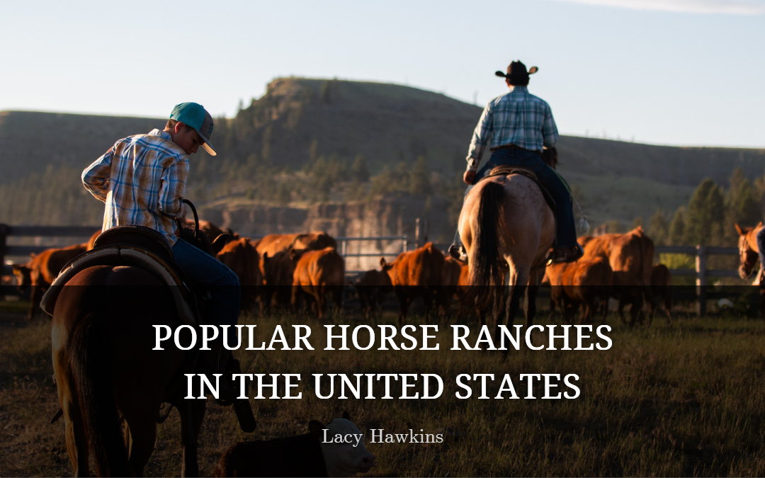 Popular Horse Ranches In The United States