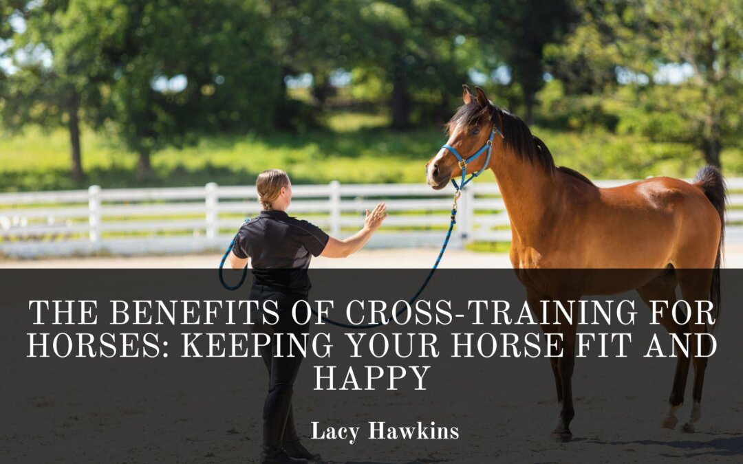 The Benefits of Cross-Training for Horses: Keeping Your Horse Fit and Happy