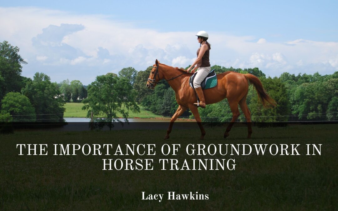The Importance of Groundwork in Horse Training