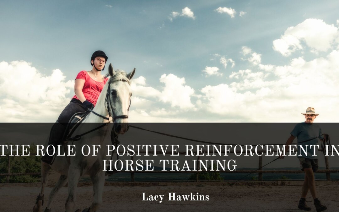 The Role of Positive Reinforcement in Horse Training