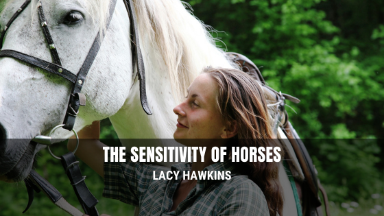 The Sensitivity of Horses