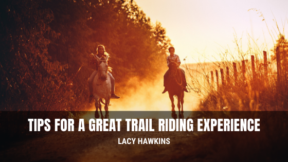 Tips For A Great Trail Riding Experience