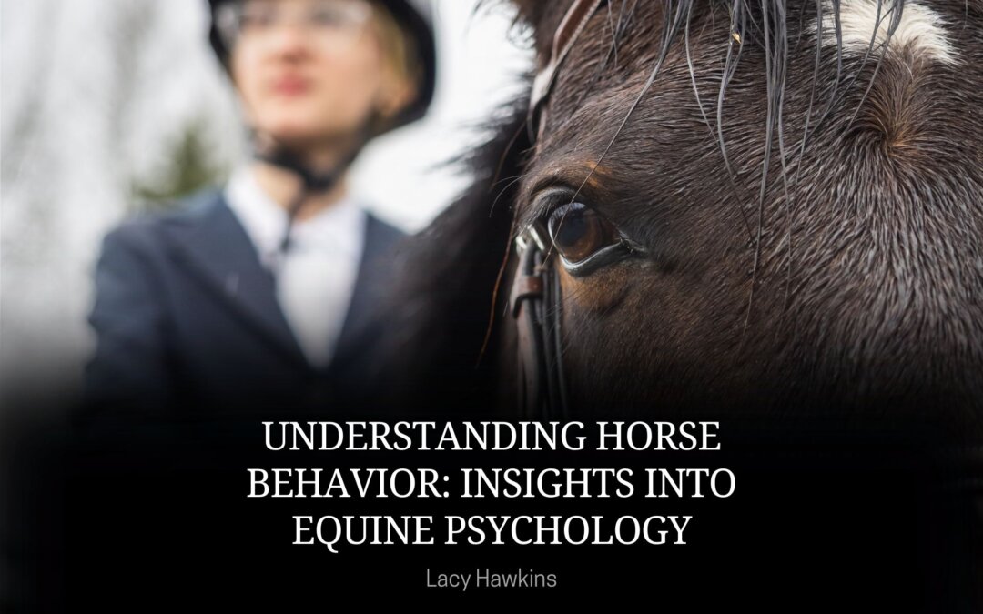 Understanding Horse Behavior: Insights into Equine Psychology