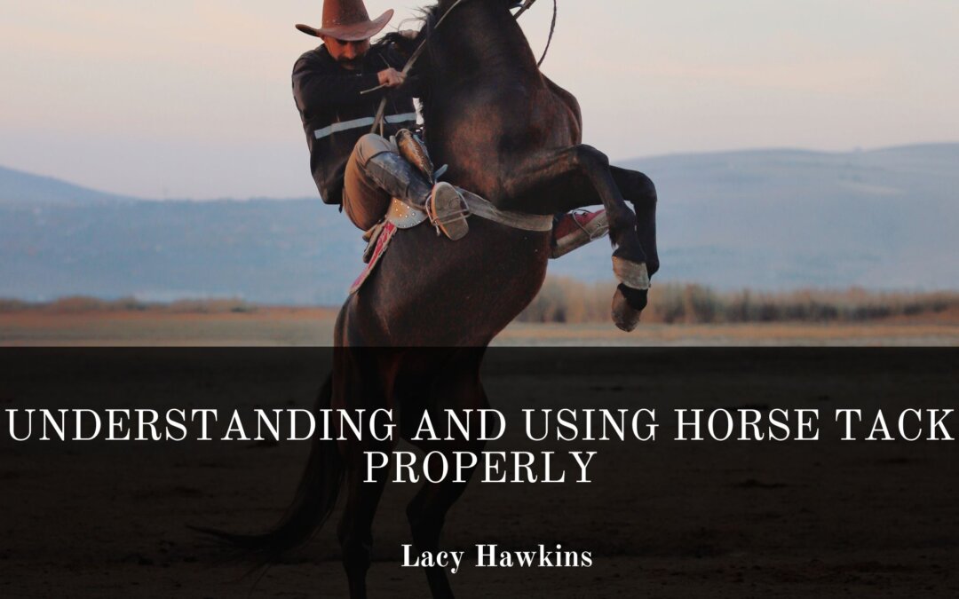 Understanding and Using Horse Tack Properly