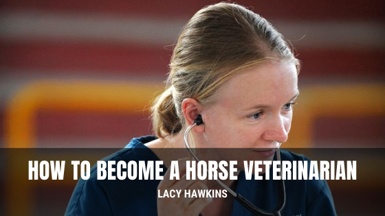 How to Become a Horse Veterinarian