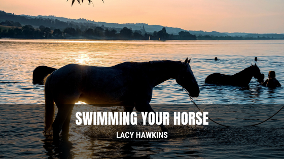 Swimming Your Horse | Lacy Hawkins