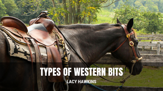 Types of Western Bits