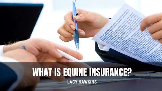 What is Equine Insurance?