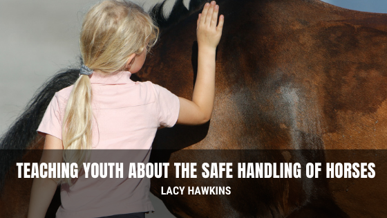 Teaching Youth about the Safe Handling of Horses