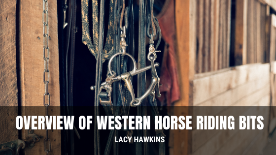 Lacy Hawkins Overview of Western Horse Riding Bits