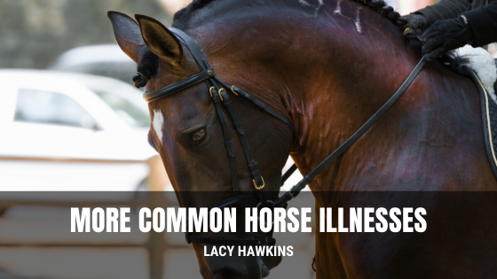 More Common Horse Illnesses