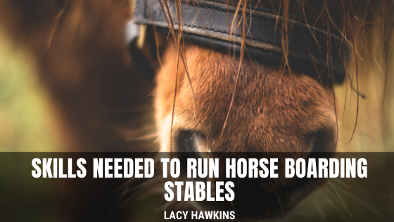 Skills Needed to Run Horse Boarding Stables