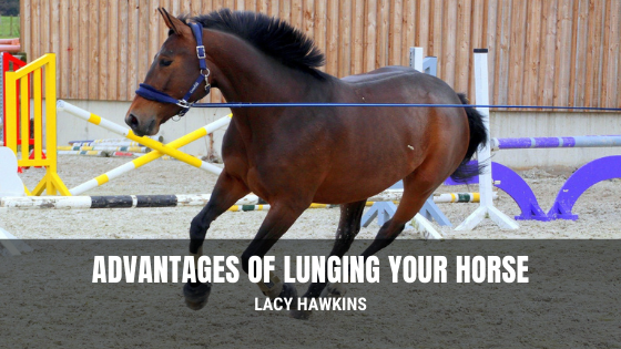 Advantages of Lunging Your Horse Lacy Hawkins