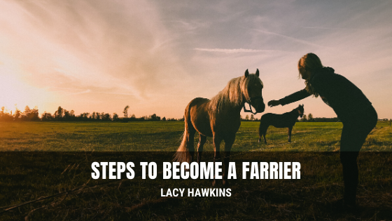 Steps to Become a Farrier