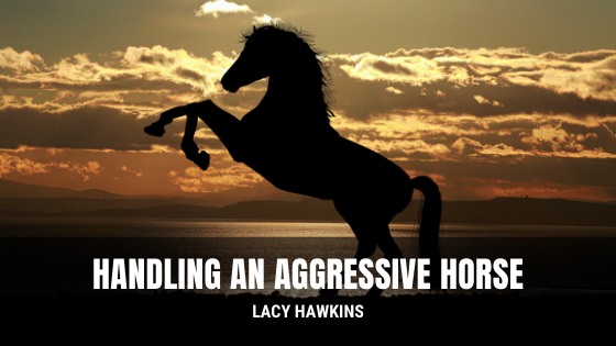 Handling an Aggressive Horse