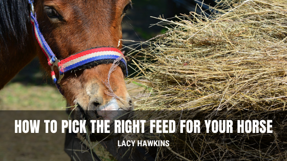 How to Pick the Right Feed for Your Horse