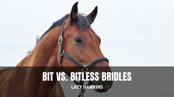 Bit vs. Bitless Bridles
